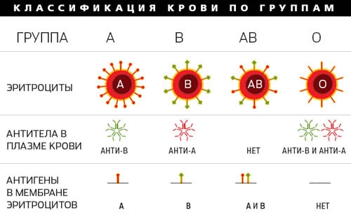 Меняется ли группа крови у человека в течении жизни после родов