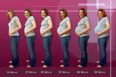 Pregnancy-Progression-1950