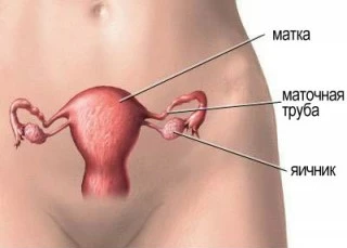 Специалисты советуют выполнять измерения температуры каждый день