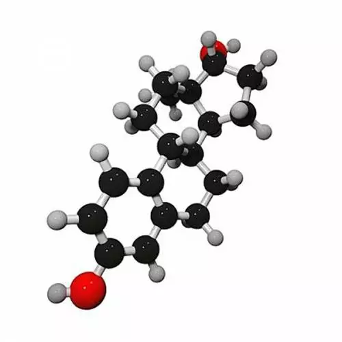Эстрадиол: норма у женщин и причины отклонений
